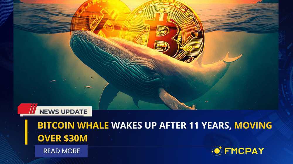 Bitcoin Whale Wakes Up After Years Moving Over M Fmcpay News