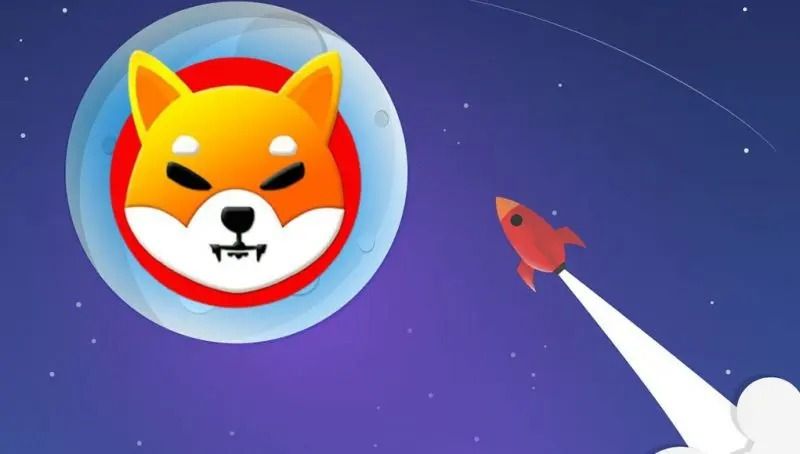 shiba inu to the moon rocket