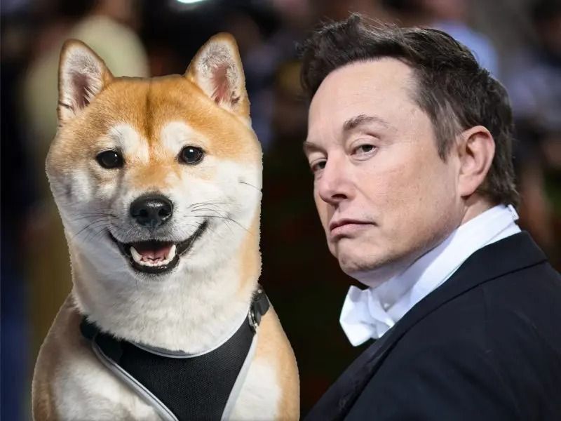 Elon Musk Announces Dogecoin’s Shiba Inu Dog As The New CEO Of Twitter ...