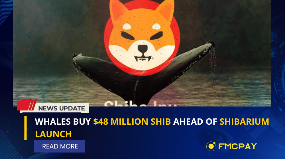 fmcpay-whales-buy-dollar48-million-shib-ahead-of-shibarium-launch