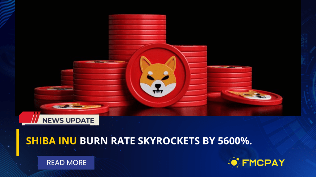 fmcpay-shiba-inu-burn-rate-skyrockets-by-5600