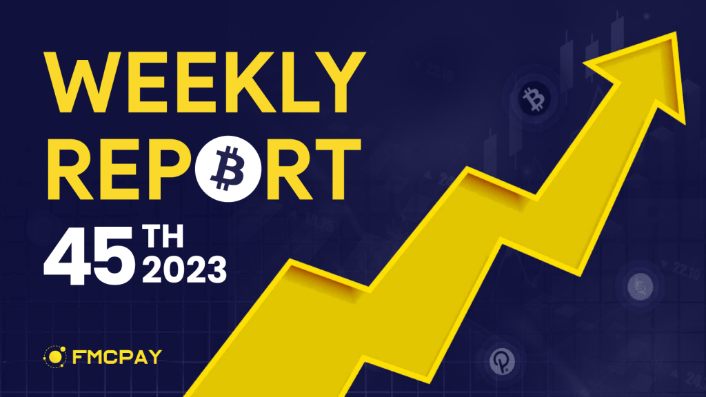Weekly crypto market report 45th