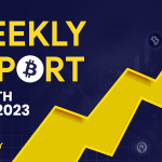 Weekly crypto market report 48th