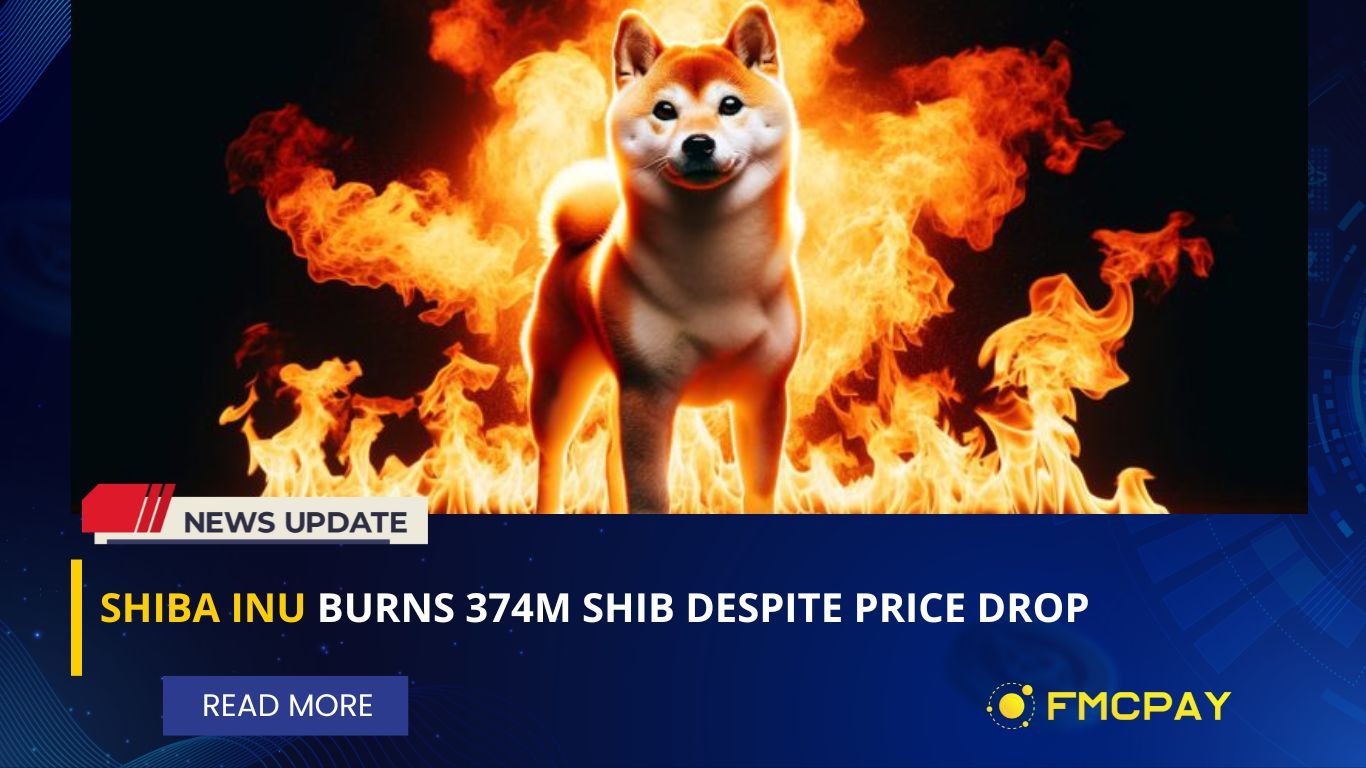 fmcpay-shiba-inu-burns-374m-shib-despite-price-drop