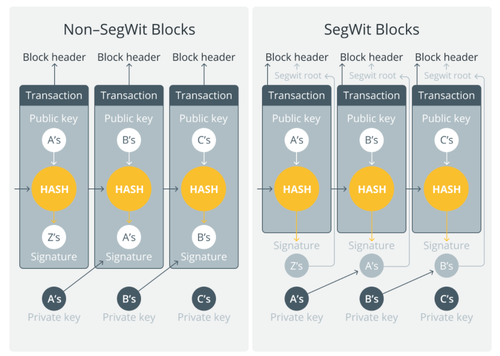 SegWit