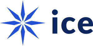 ice network the decentralized future platform