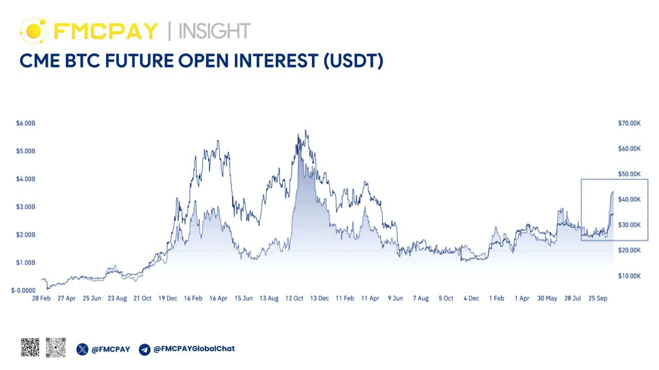 CME Future Open Interest (USDT)