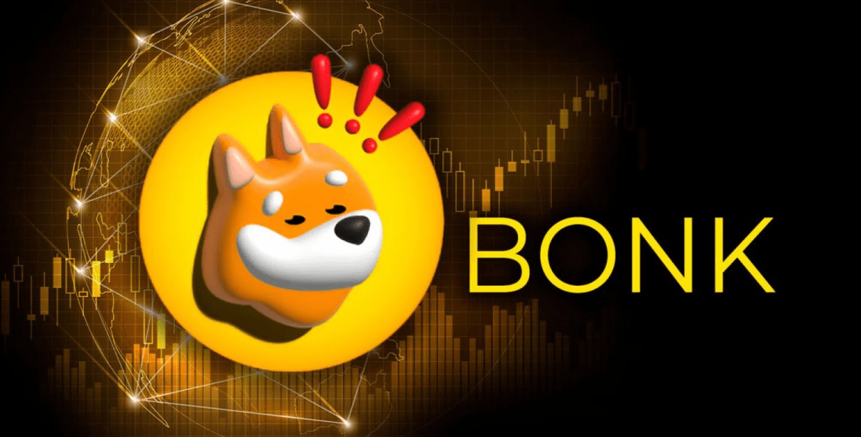 top-meme-coin-2024-bonk-coin