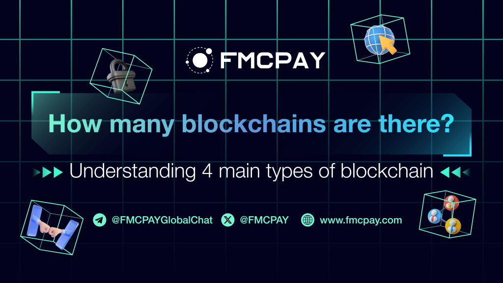 fmcpay-How-many-blockchains-are-there-4-main-types