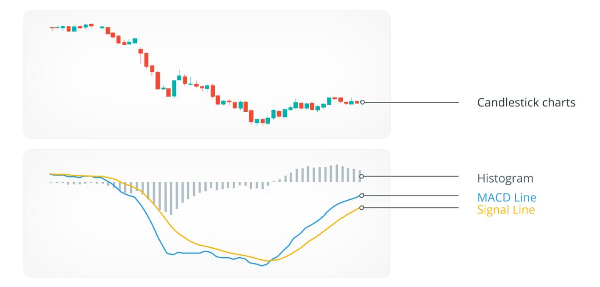 how-to-read-crypto-charts-for-beginners-macd-indicator