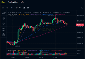 fmcpay-btc-chart-source-fmcpay