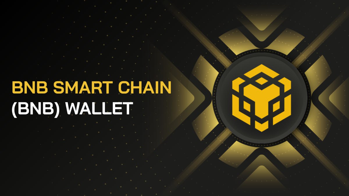 fmcpay-bnb-smart-chain-wallet