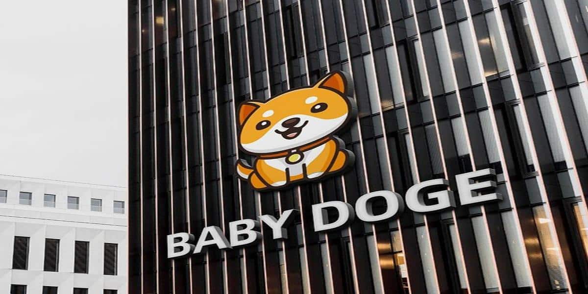 fmcpay-how-to-buy-baby-dogecoin-in-new-york