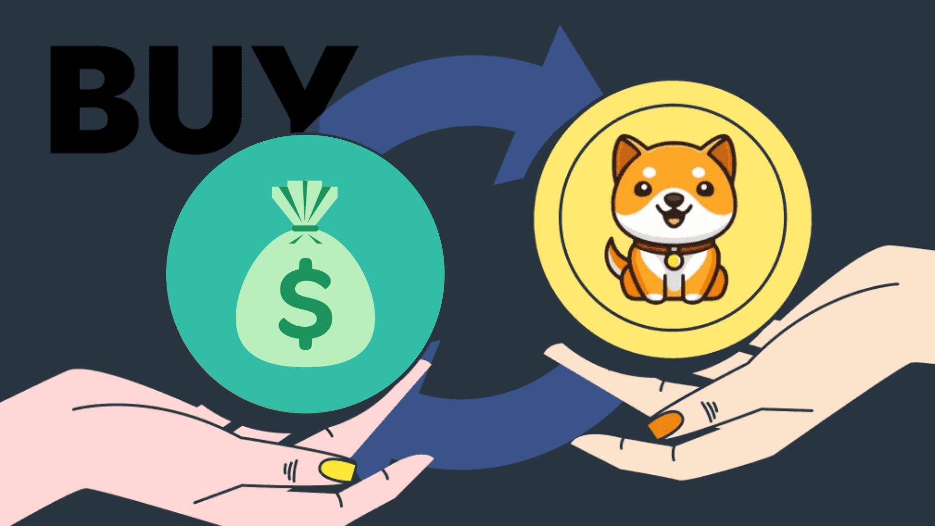 fmcpay-how-to-buy-baby-dogecoin