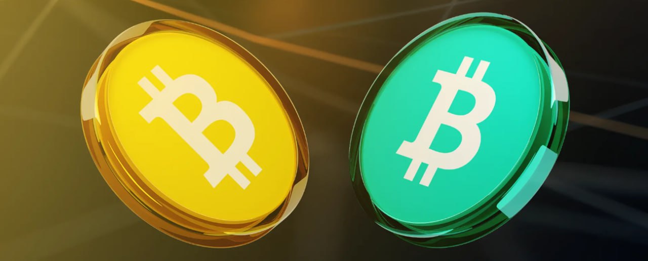 bitcoin-vs-bitcoin-cash-comparison-2221