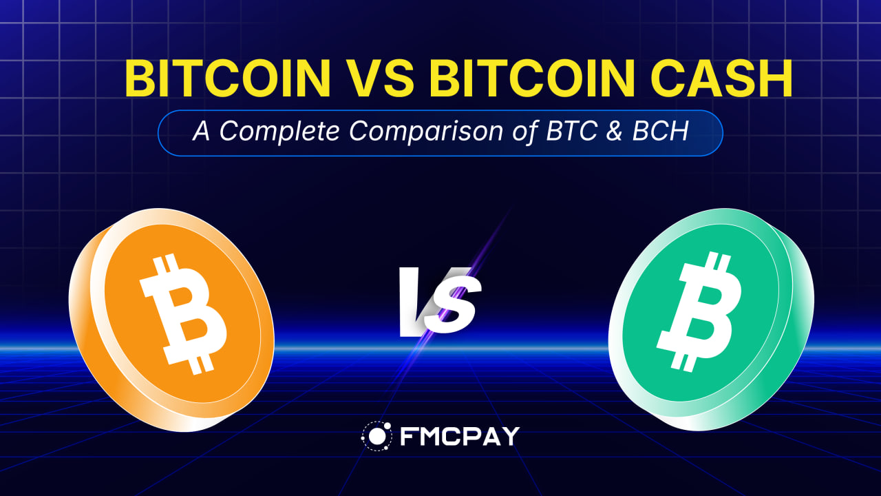 fmcpay-bitcoin-vs-bitcoin-cash-comparison-1