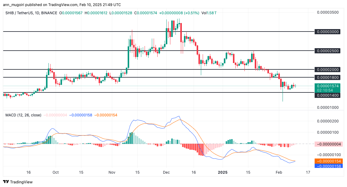 fmcpay-key-support-and-resistance-levels-to-watch