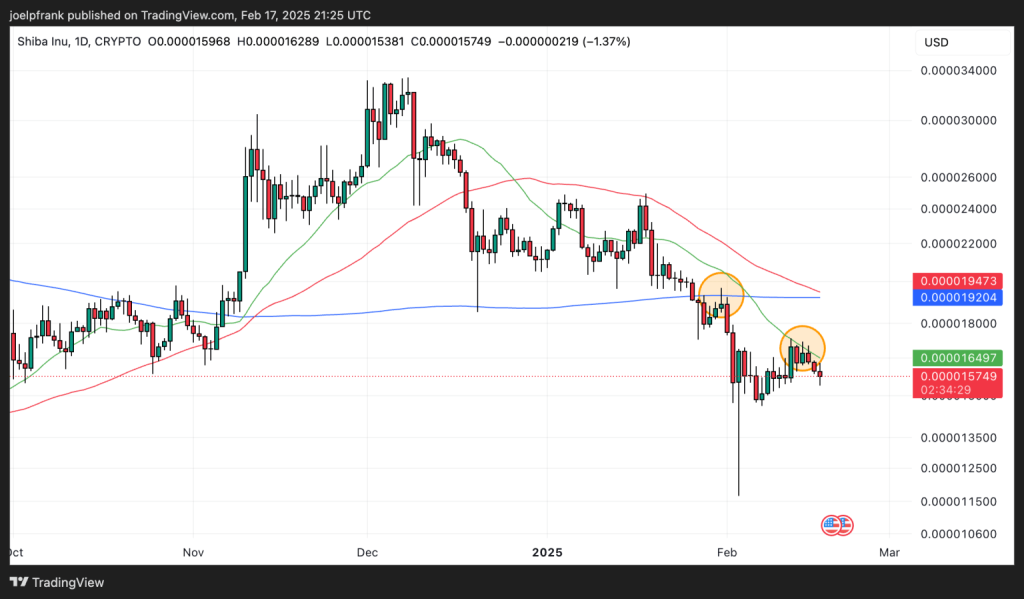 fmcpay-shib-price-is-likely-headed-lower-in-the-near-term