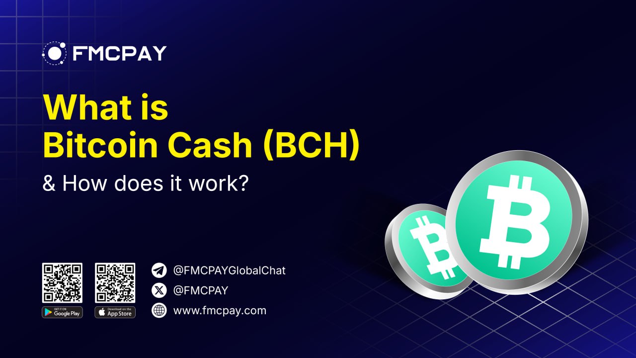 fmcpay-what-is-bitcoin-cash-bch1