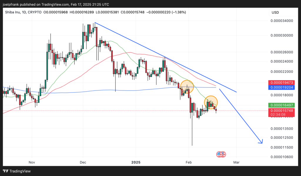 fmcpay-where-is-shib-headed-next