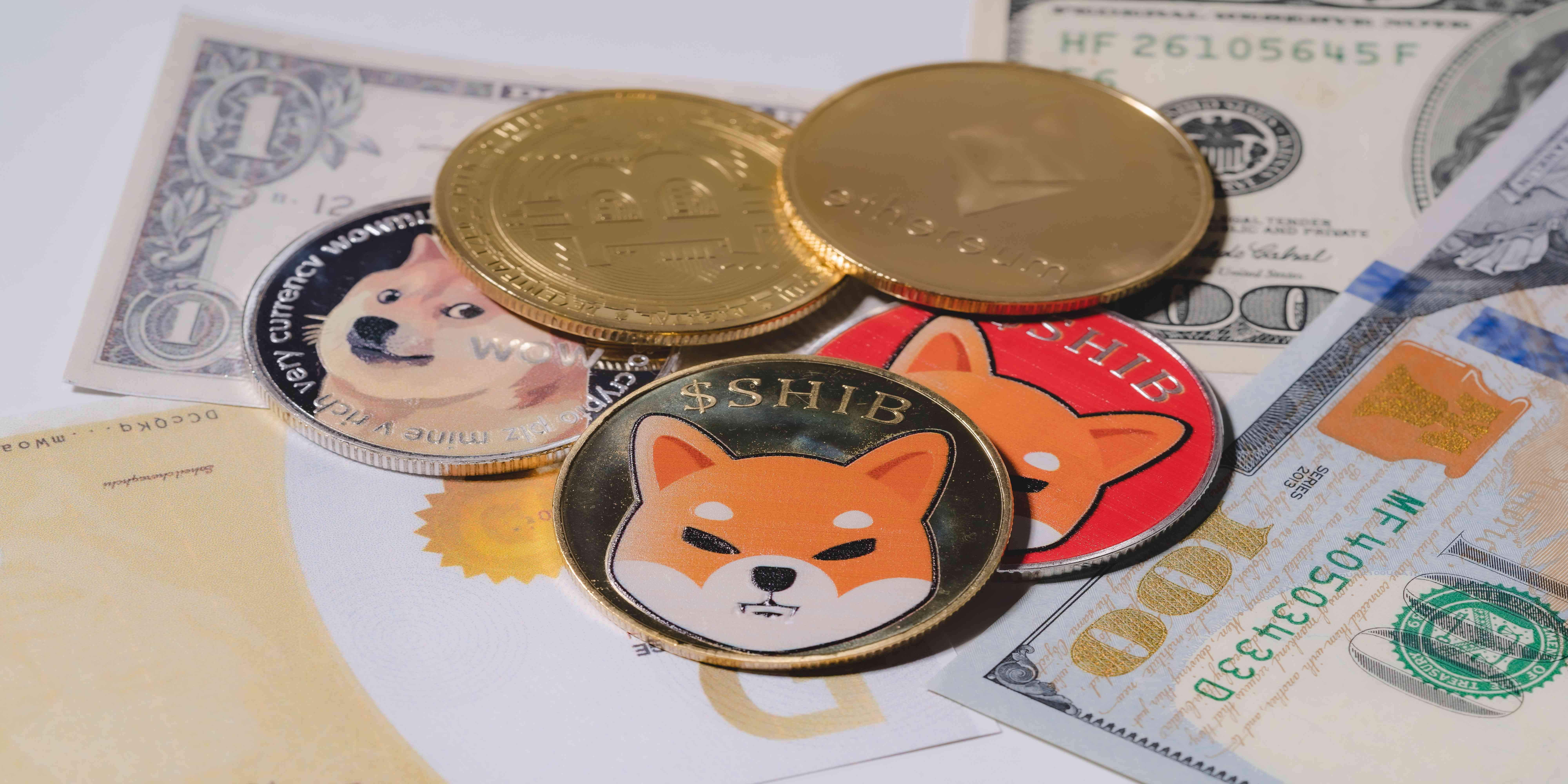 fmcpay-why-buy-shiba-inu-coin