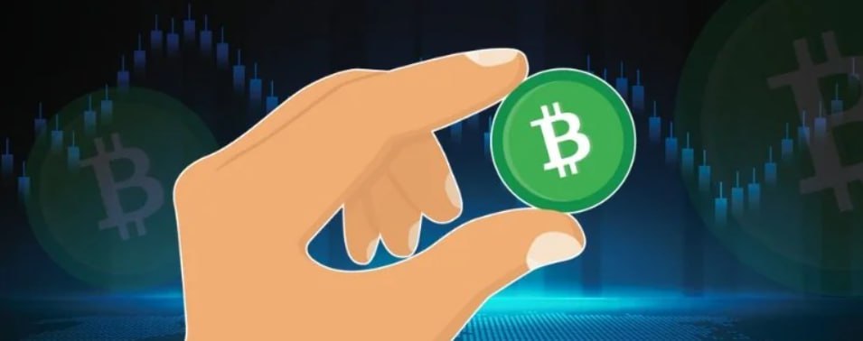 how-to-buy-bitcoin-cash-bch-1111