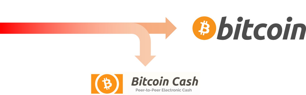 what-is-bitcoin-cash-bch-222