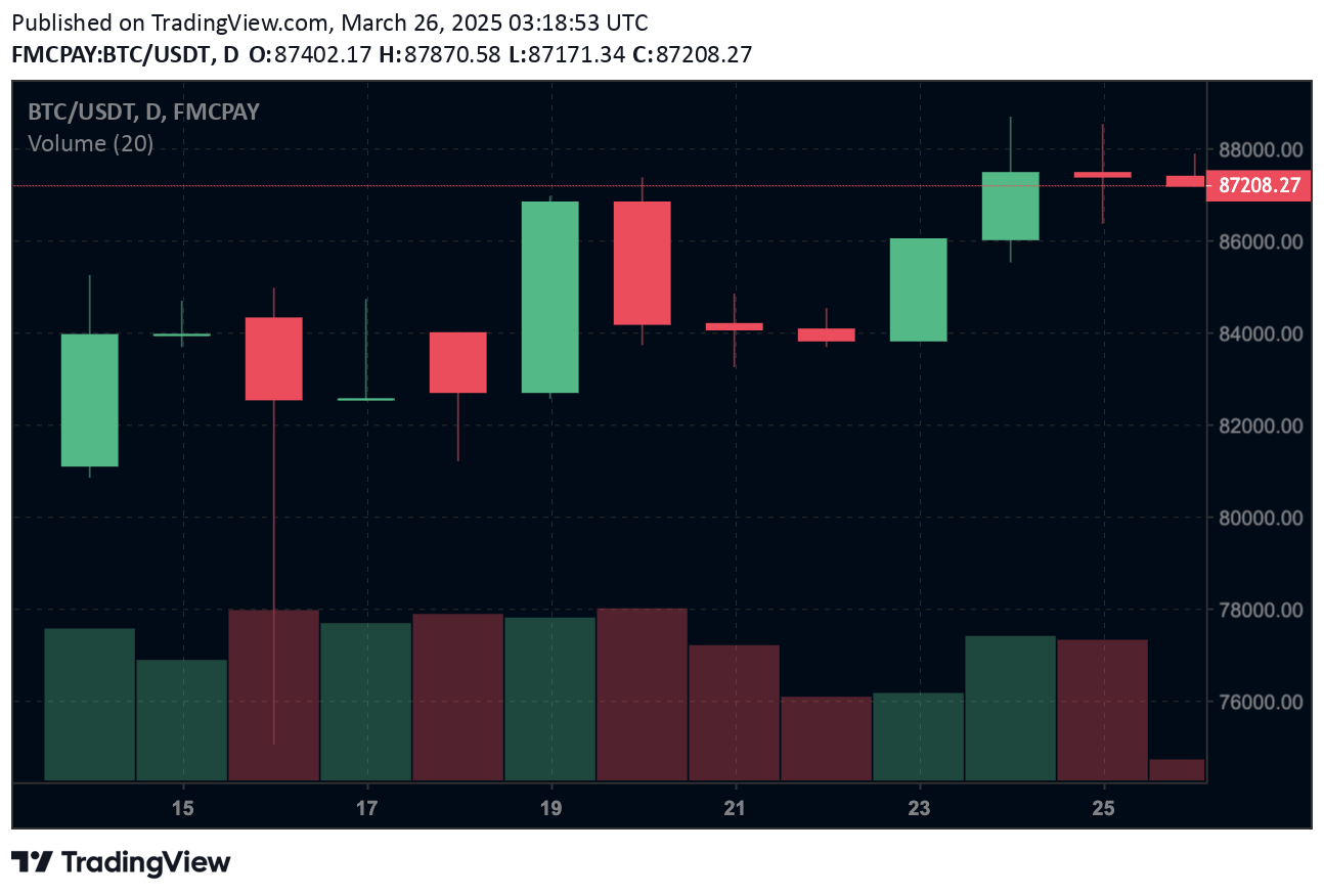 Which Crypto Will Boom in 2025? Top Digital Assets Expected to Explode 2 fmcpay-which-crypto-will-boom-in-2025-bitcoin-price