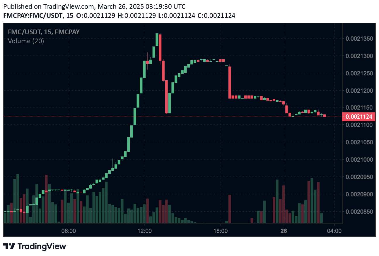 Which Crypto Will Boom in 2025? Top Digital Assets Expected to Explode 4 fmcpay-fmc-price